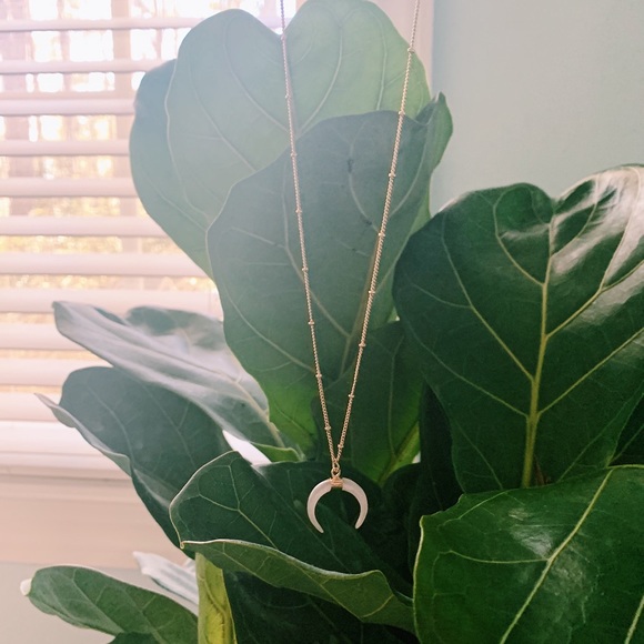 Jewelry - Crescent necklace